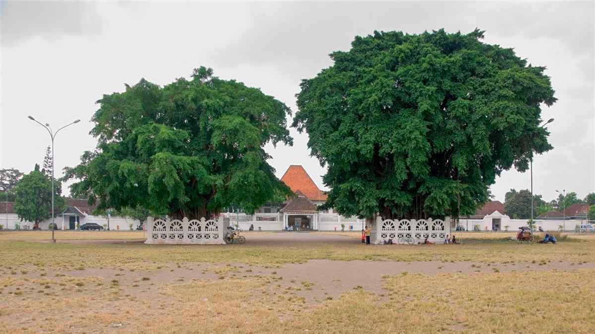 Alun-Alun Kidul Yogyakarta