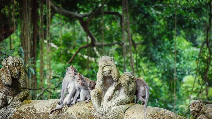 Ubud Monkey Forest